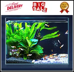 LAQUAL 3 Gallon Ultra Clear Glass Fish Tank, Rimless Low Iron Aquarium for Betta/Nano/Goldfish/Snail/Shrimp, Small Fish...