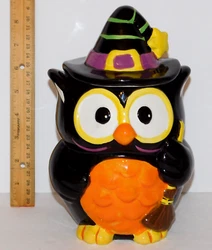 Halloween Owl with Witch Hat & Broom. Davids Cookies. close up is very accentuated - it is a small raise that is glazed...