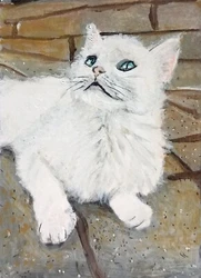 Reference photo by Sheila Baggs.