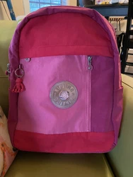 Kipling 17in Hyder Laptop Backpack. This backpack is NWT and has been kept in a smoke-free environment. Specs: Nylon...