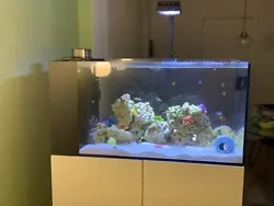 This complete aquarium setup by WaterBox Aquariums is perfect for any fish enthusiast looking for a 50 gallon tank. The...