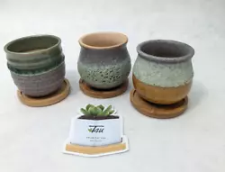 Set of 3 T4U cactus/succulent pots in different glazes wit bamboo saucers .....$10 set, I have 5 sets, take them all...