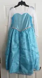 Disney Princess Elsa Frozen Dress, wig and tiara. Super cute. I did alter the dress by adding the two layers of fabric...