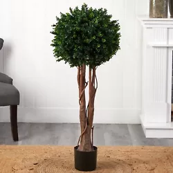 46” Boxwood Artificial Topiary Tree Home Decor UV (Indoor/Outdoor). Retail $238. Product Dimensions H: 46 In. W: 18...