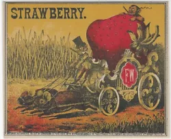 One of the most famous and strange 19th century labels, printed by Fred. Wambach for “The Strawberry”, made from...