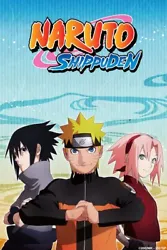 Naruto Shippuden Complete Series Anime English. This set includes all 21 seasons, all 500 episodes as well as the...