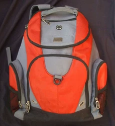Large / adult size about 20