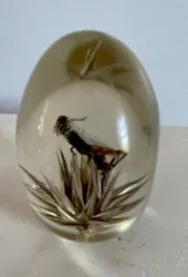Lucky Cricket Egg Shaped Vintage Paperweight Handmade Republic Of South Africa. Cricket good fortunePerching on Silver...