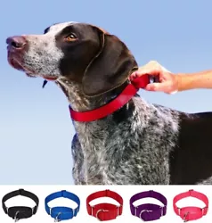 Premium Quality Martingale No Choke Pet Collars. If you own a dog who is nervous, aggressive, or who has a high prey...