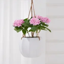 The Ceramic Hanging Planter is perfect for planting cascading greenery, bright flowers, or hardy succulents to add...
