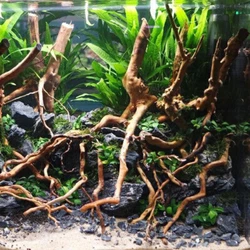 Driftwood Natural Tree Trunk Branch for Fish Tank Aquarium Landscape Plant Decor. Driftwood Root- Length about 10-30cm,...