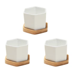 This item includes 3 sets of hexagonal pots and bamboo trays, which is made of ceramic with smooth finish. Designed in...
