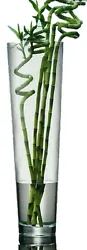 This stunning floor standing Glass Vase is a massive 70cm tall and has a mouth opening of 18cm. 70cm Tall Vase. This...