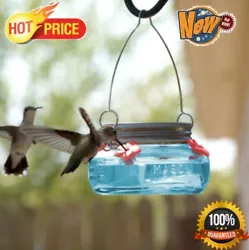 The 6 ounce capacity Wild Wings Antique Teal Mason Jar Hummingbird Feeders unique design creates an easy-to-use...