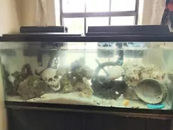 55-gallon GLASS Aquarium - Small Pet / Reptile / Fish Tank - Pro Grade.