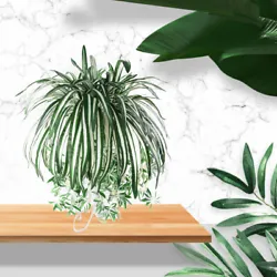 Realistic looking faux grass plants pretty suitable for office, conference hall greenery as the table plants or. Use...