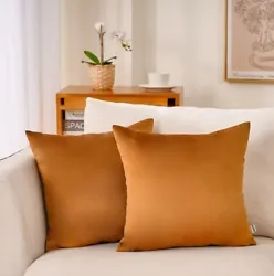 A decorative pillow that is a comfy addition to a sofa, armchair, or bed. The Simple pattern of the throw pillow covers...