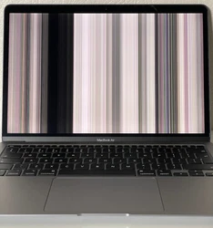 Processeur M1, 8GB de RAM, SSD 256GB.