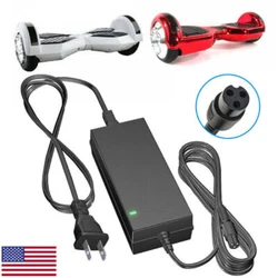 Compatible With All Hoverboard Balancing Scooter. Suitable For2-Wheel- Balancing Scooter. Such as battery, ac adapter...