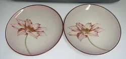 Noritake COLORWAVE RASPBERRY Floral 8045 Set of 28-1/4” Salad Dessert Appetizer PlatesComes from a smoke-free home....