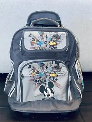 Disney Backpack Rolling Suitcase Luggage Store it Childrens Kids Adults Bag.