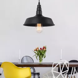 Type : Pendant Lamp  Material: Metal Color: Black Voltage: 110-220V Bulb Base: E27 (Bulb not included) Irradiation...