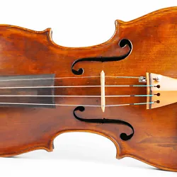The whole length of the violin is 594 mm and the back 364 mm.