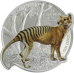 The Tasmanian Tiger is a carnivorous marsupial wolf. Although there have been hundreds of sightings in the past 85...