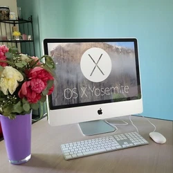 Imac 24 (début 2009) tourne sous Yosemite 10.10, 6 Go de Ram, Disque SATA 640Go. ( Ile de France ).
