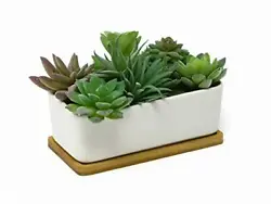 Create your next succulent garden with this white rectangular succulent planter. 6.5