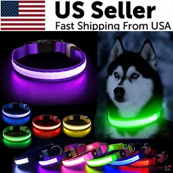 🐕 HIGH VISIBILITY & SAFETY: The led dog collar is with high quality flat optical fibers, over 50% brighter than...