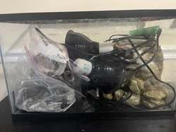 10 Gallon aquarium, was previously housed by a turtle. It includes filter, 2 bags or rocks (big and small), drift wood,...