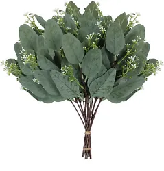The eucalyptus leaves stems can be used to make wreaths, wedding bouquets, wedding decorations, or to decorate dining...