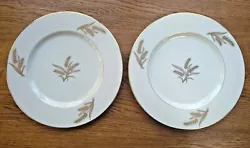 Up for sale is a set of 2 Lenox Harvest Wheat dinner plates (see pics).
