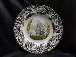 Spode Woodland Birds of Prey Winter Snowy Owl. Dont miss this great opportunity to buy 