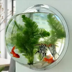 Wall Mounted Fish Bowl Acrylic Aquarium Plant Tank Beta Goldfish Hanger Decor. 1 x Wall Mounted Bowl Fish Tank (fish,...