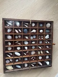 Wood Glass Curio Cabinet Display Case Wall Mount 12.5x12.5”, Seashells Vintage. This is hand made vintage cabinet .It...