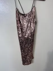 Rose Gold Sequin Party Dress. Worn once! Wore this on my 19th birthday, such a beautiful birthday or party dress! 