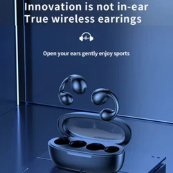 2 x Bluetooth Earbuds(Black). Earbuds Battery Capacity: 50mAh. Bluetooth Version: Bluetooth 5.3. status of your...