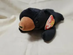 Ty Beanie Baby Blackie The Bear Plush Toy.