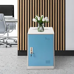 Specification Style: Modern Color: Blue, Off-white Color Shape: Rectangular Material: Cold-rolled Steel Process:...