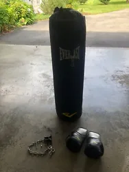 Everlast punching bag 100lb With rigging hardware and gloves. Local Pickup Only. Hardly used.