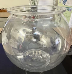 This 1-gallon globe fish bowl from Koller Products is perfect for your freshwater fish. Made of durable acrylic...