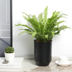Black metal cylindrical planter vase with modern tapered bottom design will add sleek contemporary style to any...