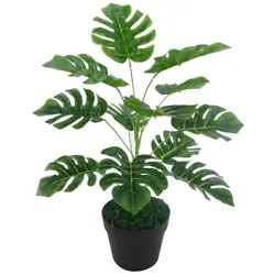 12 heads monstera leaves design, look lifelike. It is a good decor for your bonsai, garden. Type: Artificial Leaves. 1...