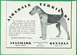 Original print ad from magazine of 1937, by the Stanmark Kennels in Rye, New York.