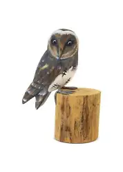Honor the wise ways of hooting owls with this decorative owl sculpture! Symbolic to cultures around the world, the owl...