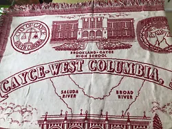 very cool fringed cotton woven throw, clean, several pulled threads, a couple tiny spots . depiction of local buildings...