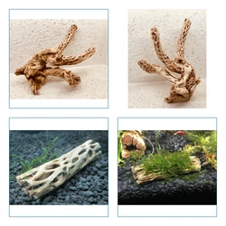 Je vous propose 1 piece de Cholla Wood XL 25x15x10 cm de Cholla Wood / holley wood. 4 nano boules cladophora plante...