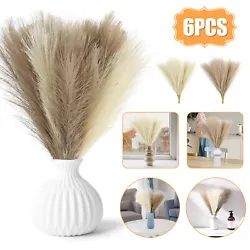 🌷Great Alternative for Real Pampas : Unlike dried pampas grass, our artificial pampas grass does not shed like the...